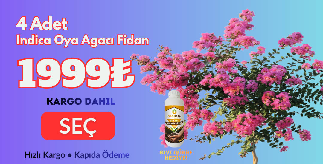 İndica 4 Adet + Sıvı Gübre